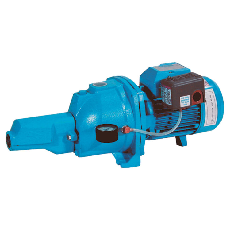 Convertible Cast-Iron Jet Pumps image